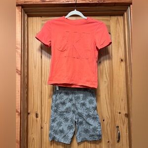 Boys Calvin Klein Coral T-Shirt and Gray Palm Shorts Set
